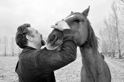 idaho horse rescue