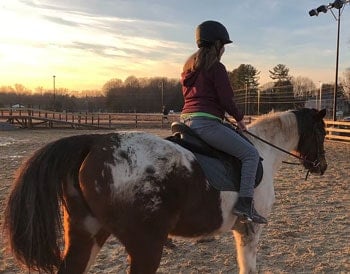 northern-virginia-therapeutic-riding-program