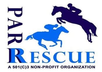 Pa racehorse rehoming pennsylvania