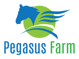 Pegasus farm