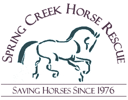 spring creek horse rescue