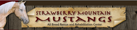 strawberry mountain rescue