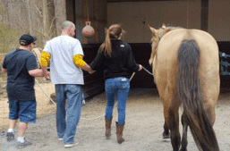 take-heart-counseling-and-equine-assisted-therapy