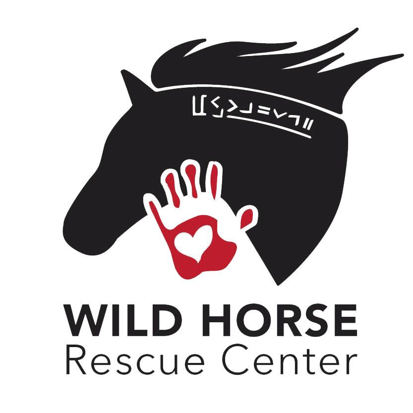 wild horse rescue center