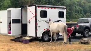Double D Trailers single horse bumper pull trailer