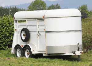 Aluminum bumper pull horse trailer