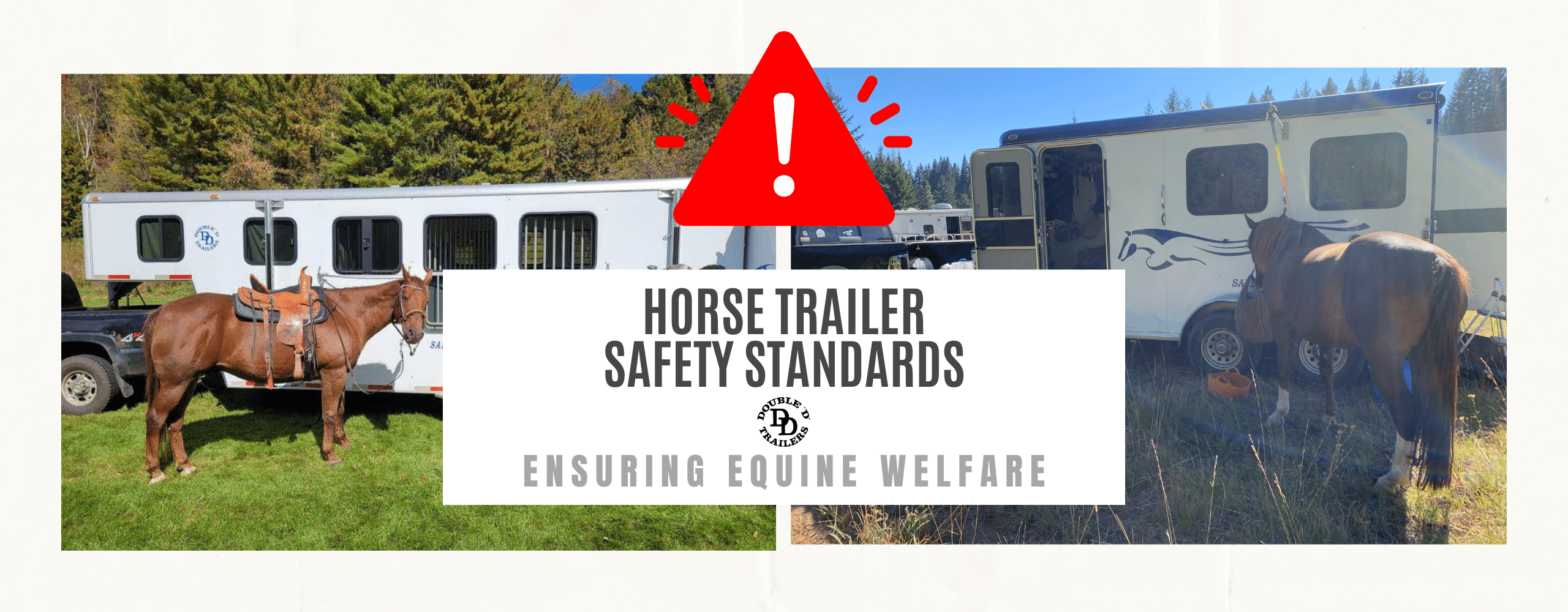 Horse Trailer Safety Standards Guide by Double D Trailers