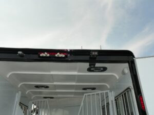 SafeBump Roof System