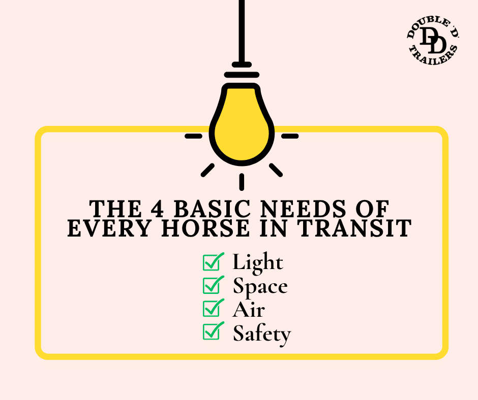 The 4 basic needs of horses when in transit 