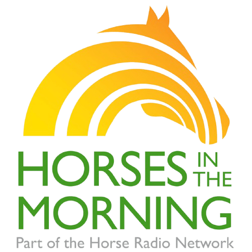 Horses in the Morning