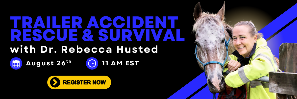 Rebeccas Webinar