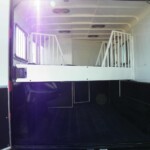 Adjustable padded divider in Double D 2-horse gooseneck trailer